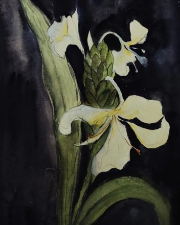 Artwork from my archive, Plate 0274