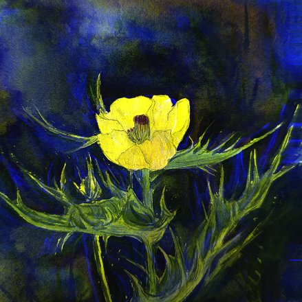 Artwork from my archive, Plate 0482
